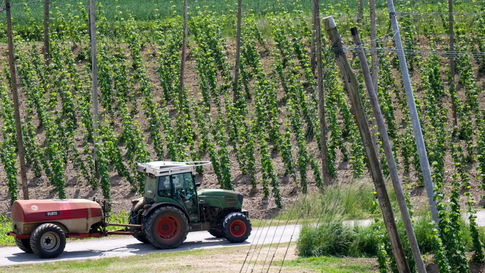 Ein bayerischer Hopfenpflanzer bei der Arbeit (Archiv) (Foto: Sven Hoppe/dpa)