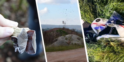 Von abgängigen Pilzesammlern, ungewöhnlichen Fundstücken und herrenlosen Motorrädern. (Collage: Silvia Schäfer/Johannes Zimmermann/Polizei)