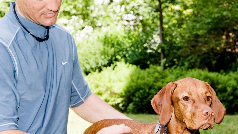 Nach der Anwendung von Minoxidil sollten die Hände gründlich gewaschen werden: Bereits kleinste Mengen des Haarwuchsmittels können für Hunde und Katzen giftig sein. (Foto: Monique Wüstenhagen/dpa-tmn)
