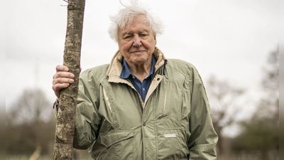 Der britische Naturforscher und Dokumentarfilmer David Attenborough feiert seinen 100. Geburtstag. (Archivbild) (Foto: Aaron Chown/PA Wire/dpa)