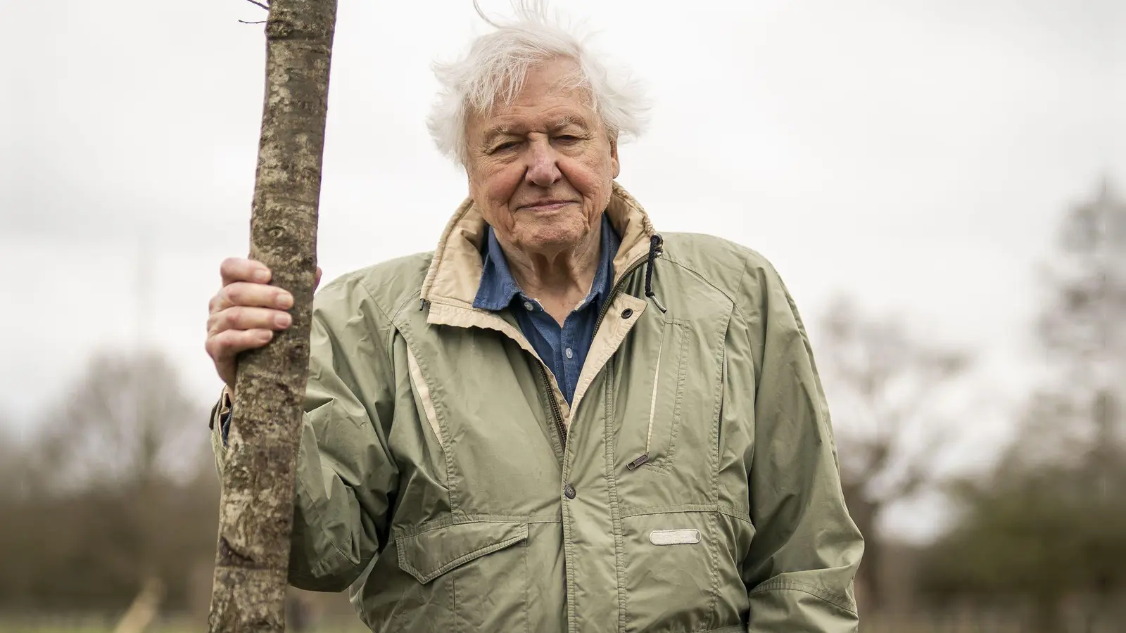 Der britische Naturforscher und Dokumentarfilmer David Attenborough feiert seinen 100. Geburtstag. (Archivbild) (Foto: Aaron Chown/PA Wire/dpa)