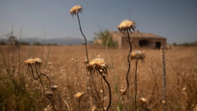 Der Füllstand der Wasserspeicher sinkt rapide. (Archivbild) (Foto: Clara Margais/dpa)