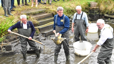 Erfolgreich als Fischer betätigte sich Ministerpräsident Dr. Markus Söder bei der Eröffnung der bayerischen Karpfensaison am Fischhof bei Bechhofen. Neben Söder waren auch Ansbachs stellvertretender Landrat Hans Henninger (links), Albert Deß als Vorsitzender der Bayerischen Berufsfischer und Bechhofens Bürgermeister Helmut Schnotz (von links) in Wathosen geschlüpft. (Foto: Fritz Arnold)