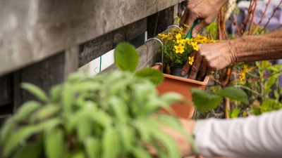 Stressabbau durch Pflanzenpflege: Gärtnern, selbst auf dem Balkon, hilft pflegenden Angehörigen, Überforderung zu reduzieren und das Gefühl von Selbstwirksamkeit zu stärken. (Foto: Christin Klose/dpa-tmn)