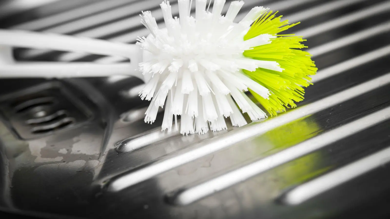 Spülbürsten bieten Keimen weniger Lebensraum: Nach dem Spülen trocknen die Borsten schneller als Schwämme. (Foto: David-Wolfgang Ebener/dpa/dpa-tmn)