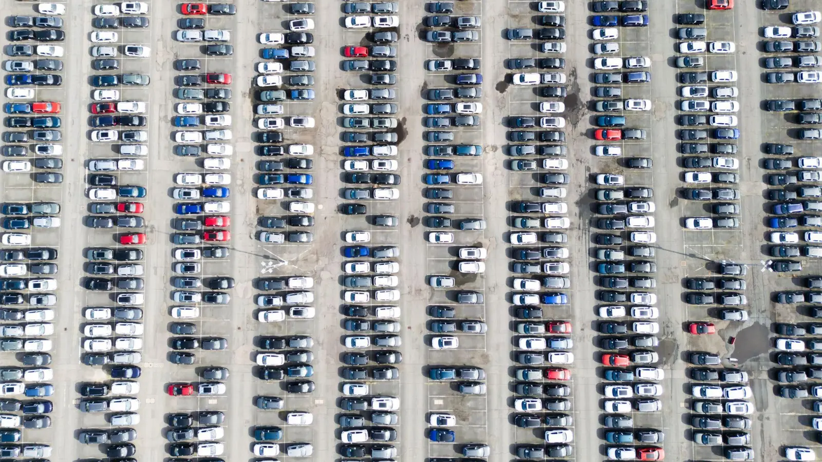 Neuwagen von Volkswagen stehen in Wolfsburg. (Symbolbild) (Foto: Julian Stratenschulte/dpa)