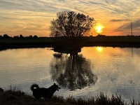 Sonnenuntergang am Weiher - gesehen in Dürrnbuch (Foto: Christian Vogler)