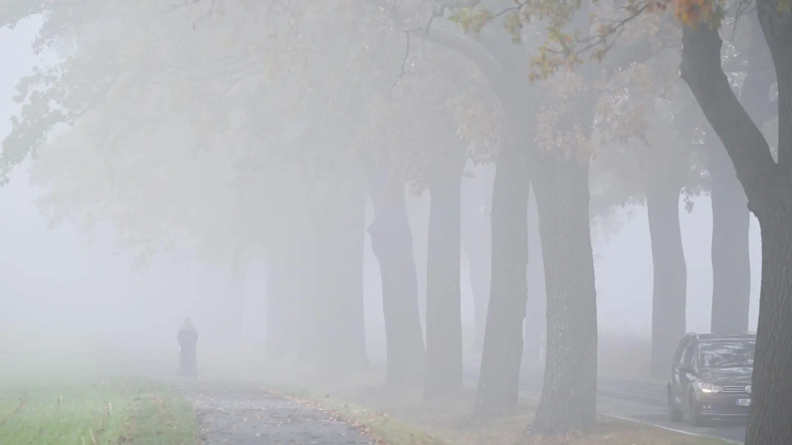 Nebelwärts statt himmelwärts: Das Adventswochenende in Bayern wird trüb. (Symbolbild) (Foto: Patrick Pleul/dpa)