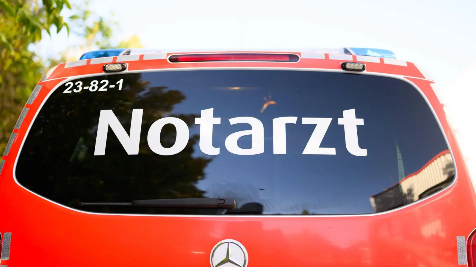 Eine Frau hat sich bei einem Unfall bei der Waldarbeit schwer verletzt. (Symbolbild) (Foto: Julian Stratenschulte/dpa)