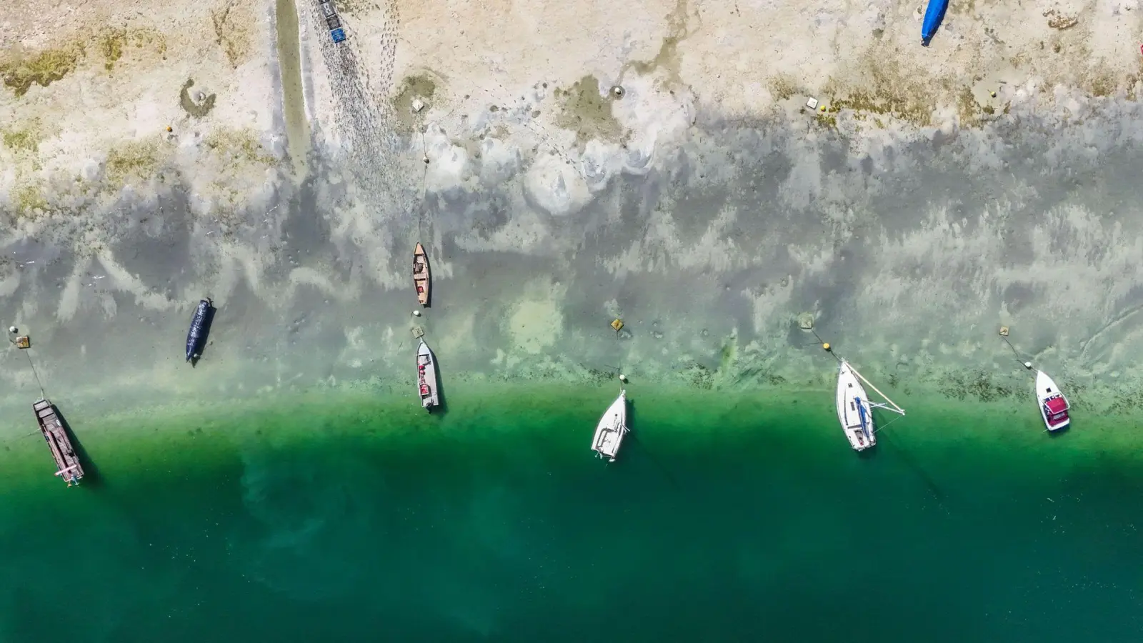 Die Trockenheit sorgt für niedrige Wasserstände am Bodensee. (Archivbild)  (Foto: Marius Bulling/onw-images/dpa)