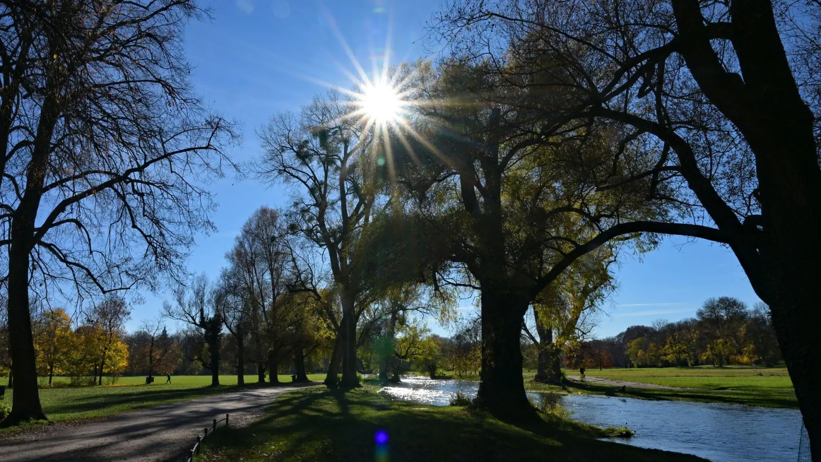 Die Sonne scheint durch Bäume im Englischen Garten: In Bayern soll es in den kommenden Tagen sonnig und mild werden. (Archivbild) (Foto: Malin Wunderlich/dpa)