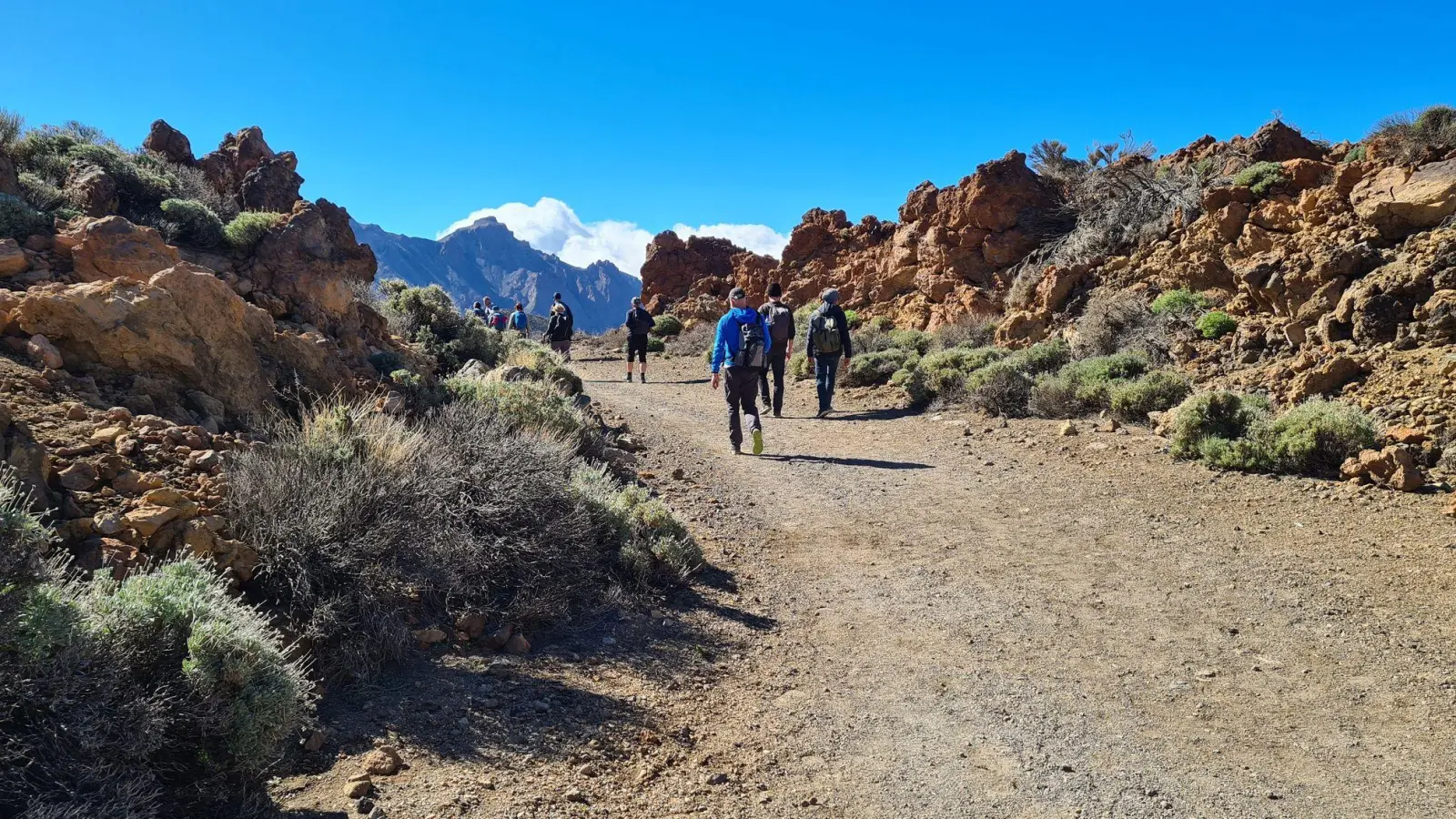 Seit Sommer 2022 wurde ein junger Backpacker aus Niedersachsen auf Teneriffa vermisst, der dort zum Wandern war - nun wurde sein Tod bestätigt. (Symbolbild) (Foto: Roswitha Bruder-Pasewald/dpa-tmn)
