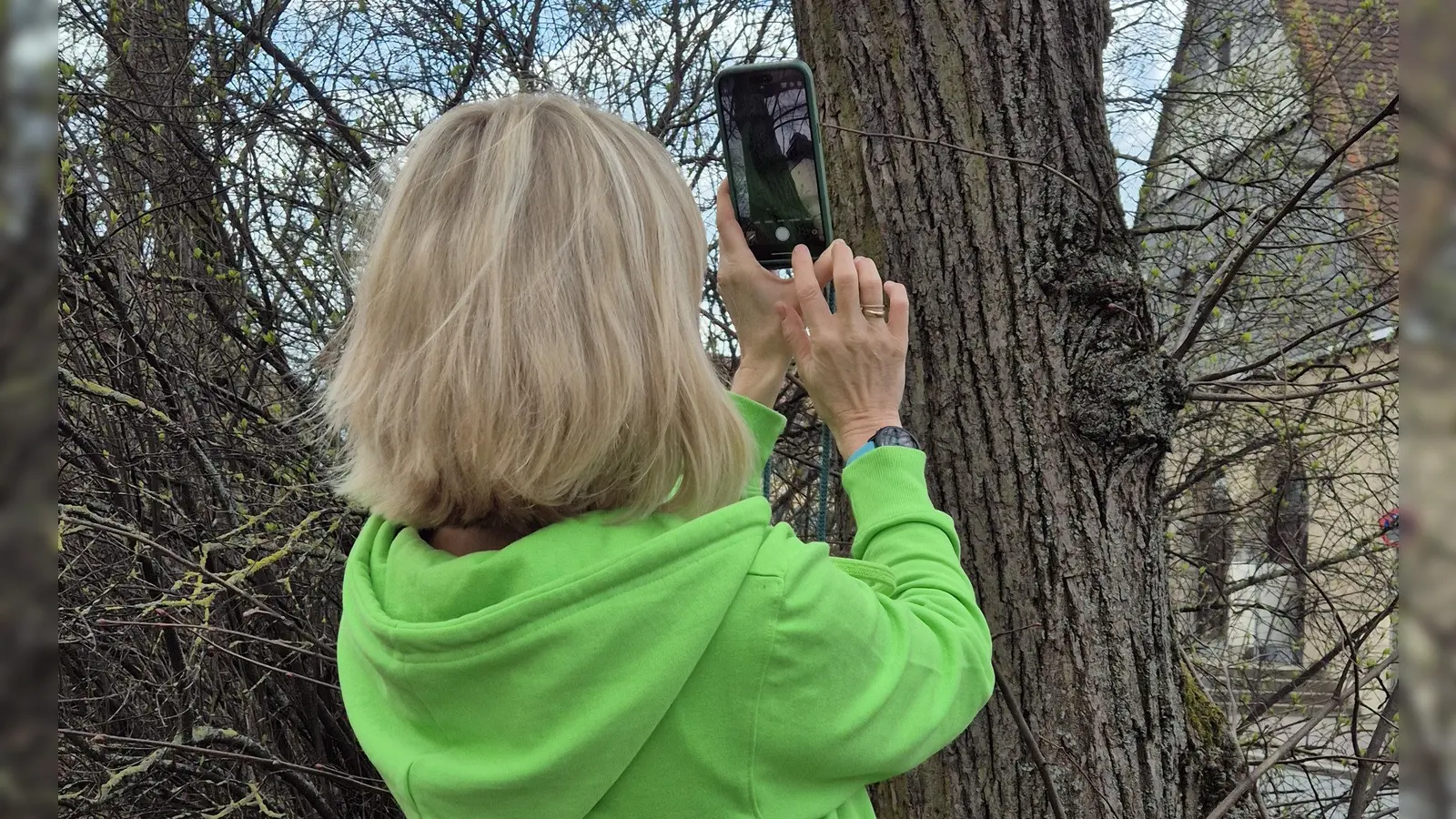 Eine Nutzerin der App „Mein Baum“ dokumentiert ihre Beobachtungen. Die gesammelten Daten sollen Stadtbäume schützen. (Foto: Kerstin Ellersdorfer)