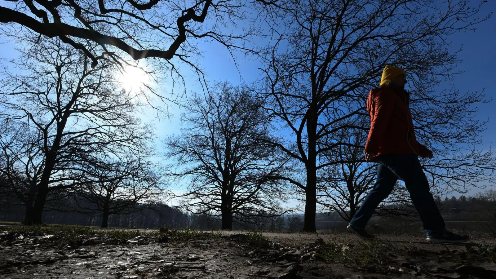 Der zu Ende gehende Winter war laut Deutschem Wetterdienst mild und trocken. (Archivbild) (Foto: Bernd Weißbrod/dpa)