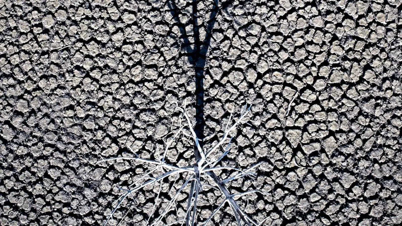 Ausgetrockneter Stausee im spanischen Vilanova de Sau. (Foto: Emilio Morenatti/AP/dpa)