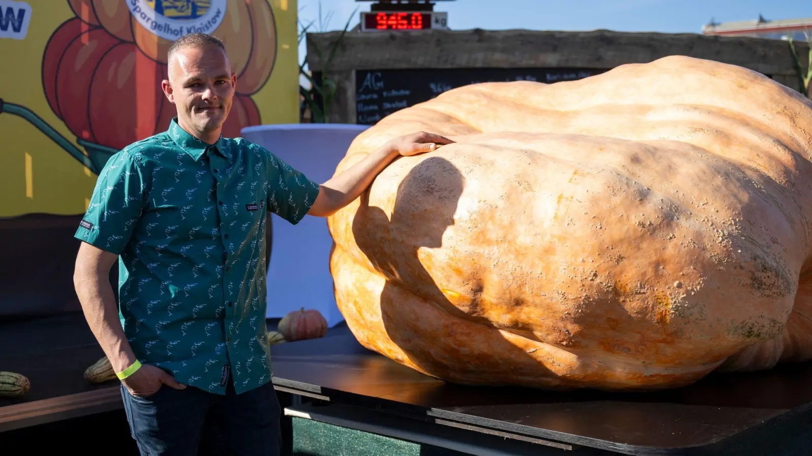 Der schwerste Kürbis bei der Kürbiswiegemeisterschaft in Klaistow von Oliver Grafe ist rund 942 Kilogramm schwer. (Foto: Christophe Gateau/dpa)