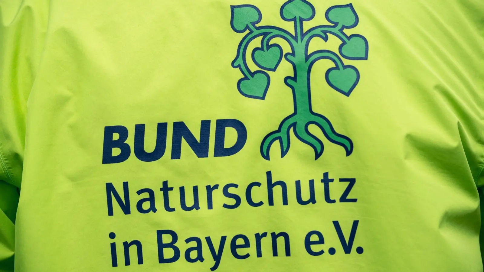 Kurz vor dem Jahreswechsel bittet der Bund Naturschutz in Bayern um den Verzicht auf Feuerwerk. (Archivbild) (Foto: Daniel Vogl/dpa)