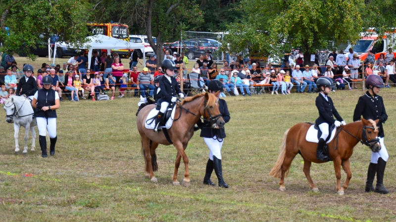 Die Jüngsten des Vereins gaben ihr Bestes beim Pony-Zweikampfwettbewerb. (Foto: Werner Wenk)