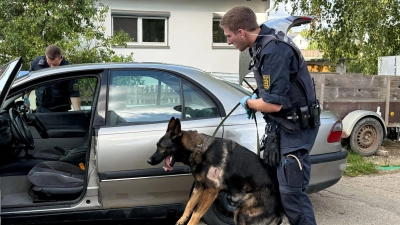 Ein Polizist durchsucht ein Fahrzeug mit einem Hund. (Foto: Nico Pointner/dpa)
