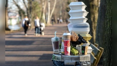 Es wird immer noch zu viel Einweg-Plastik produziert und verwendet. (Archivbild)   (Foto: Jens Kalaene/dpa-Zentralbild/ZB)