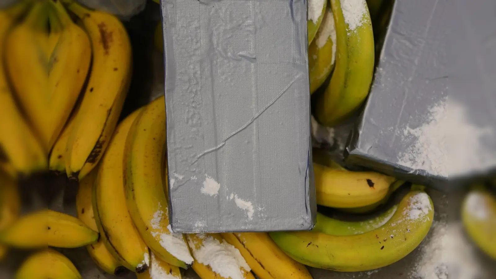 Kokain-Dealer suchen sich nach Angaben von Europol immer neue Schmuggelwege. (Symbolbild) (Foto: Marcus Brandt/dpa)