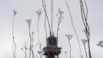 Das Wetter zum Wochenende wird wechselhaft. (Foto: Andreas Arnold/dpa)