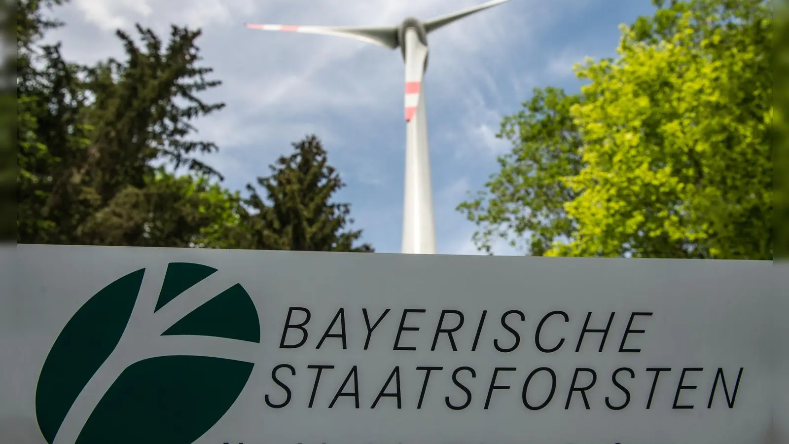 Ein Windrad im Staatswald nahe Beratzhausen in der Oberpfalz. Die Staatsforsten wollen bis zu 500 Windräder errichten lassen. (Archivbild) (Foto: Armin Weigel/dpa)