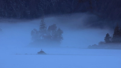 In den kommenden Tagen wird es in Bayern neblig. (Archivbild) (Foto: Karl-Josef Hildenbrand/dpa)