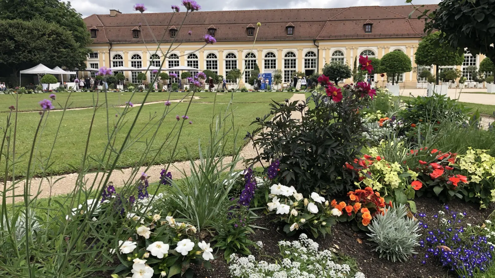 Floraler Blick auf die Orangerie: Der repräsentative Prachtbau ist im Bombenhagel 1945 beinahe komplett zerstört worden und musste ab 1972 neu aufgebaut werden. (Foto: Florian Pöhlmann)