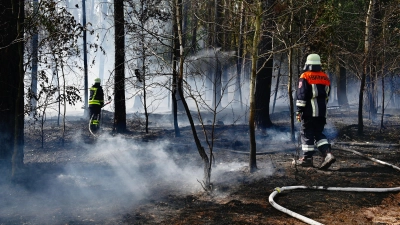 Wegen des schwer zugänglichen Brandorts mitten im Wald war die Versorgung mit Löschwasser kompliziert. (Foto: Jim Albright)