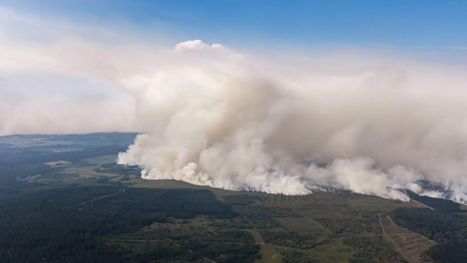 Der Waldbrand im belgischen Moorgebiet. (Foto: Christoph Reichwein/dpa)