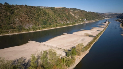 Das Niedrigwasser am Rhein könnte sich bald auch im Bau bemerkbar machen.  (Foto: Thomas Frey/dpa)