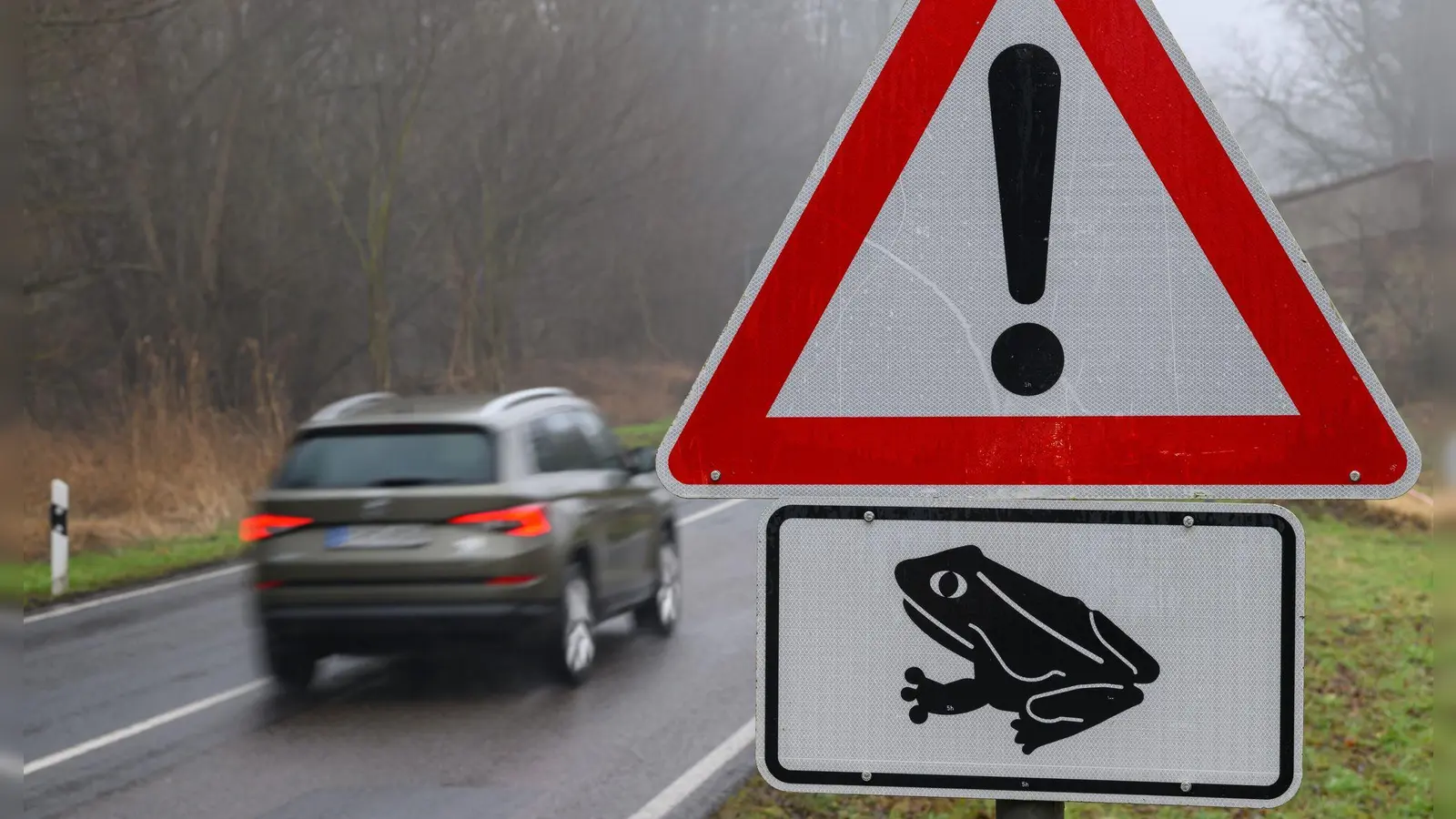 Der Luftdruck schnell vorbeifahrender Autos kann Amphibien ebenfalls töten. (Symbolbild) (Foto: Patrick Pleul/dpa)