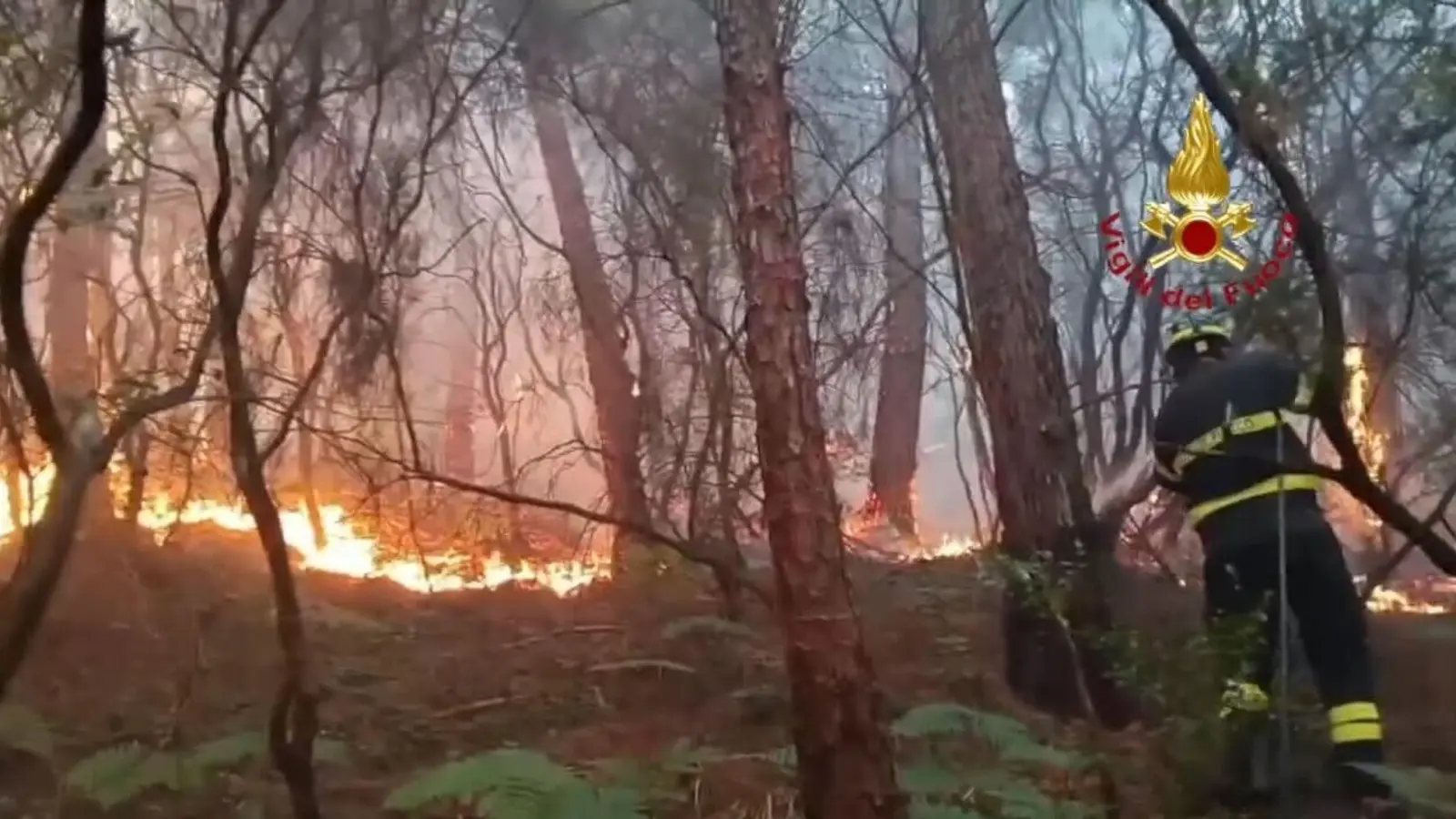 Wegen des Waldbrands haben mehr als 3.500 Menschen ihre Häuser verlassen müssen. (Foto: -/Vigili del Fuoco/dpa)