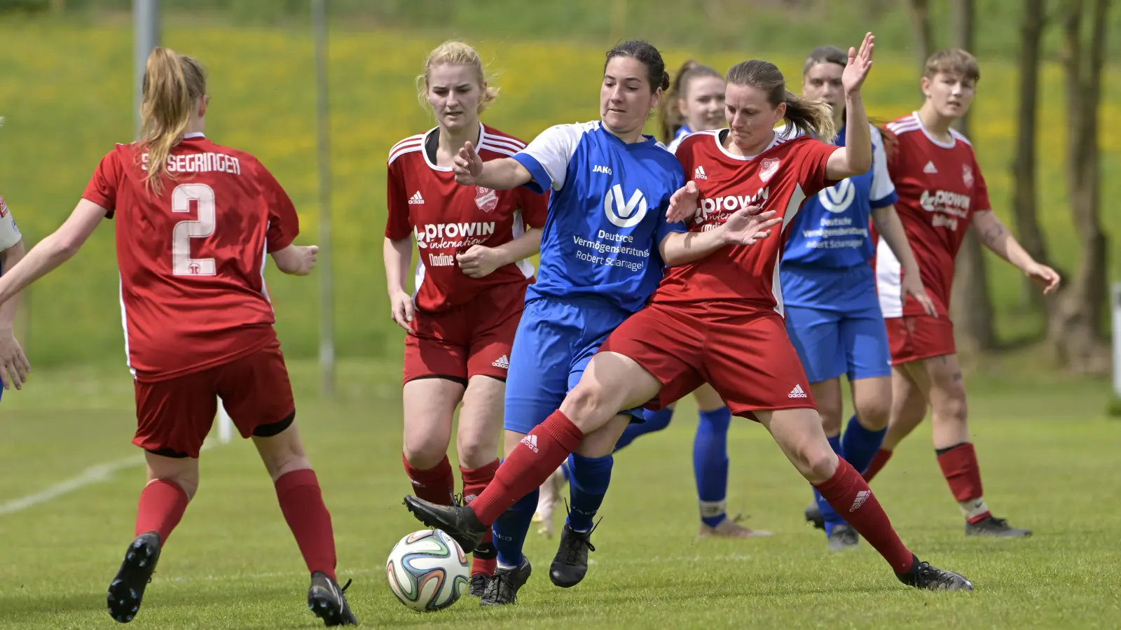 Torschützin Antonija Weingärtner (Brodswinden, blaues Trikot) sieht sich einer Segringer Übermacht entgegen.  (Foto: Martin Rügner)