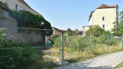 Auf dem Areal vor der Stadtmauer an der Jean-Paul-Allee soll ein inklusiver Spielplatz entstehen. (Foto: Ute Niephaus)