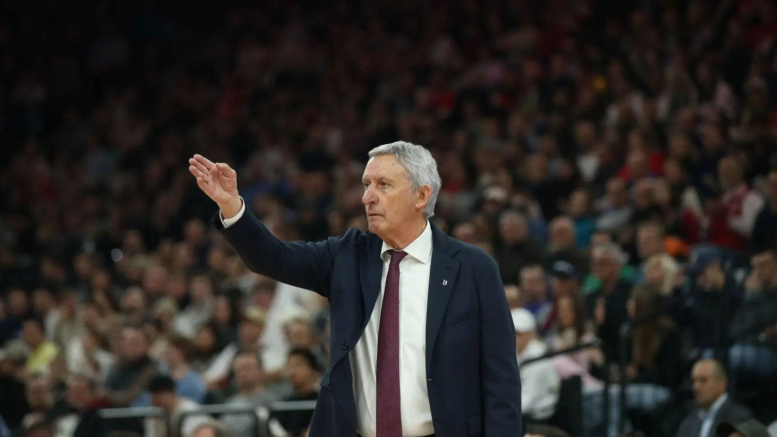 Svetislav Pesic bekommt einen neuen Aufbauspieler. (Archivbild) (Foto: Matthias Stickel/dpa)