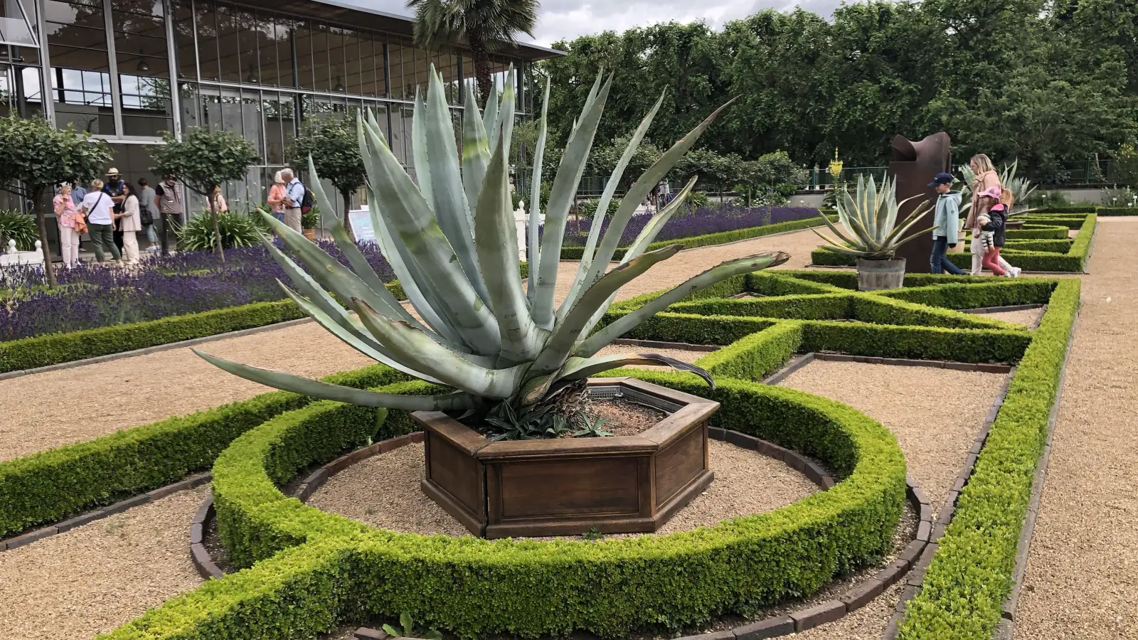 Dutzende von Heilkräutern sind im Fuchsgarten zu finden. Ein Blickfang ist aber zum Beispiel auch diese herrliche Agave. (Foto: Florian Pöhlmann)