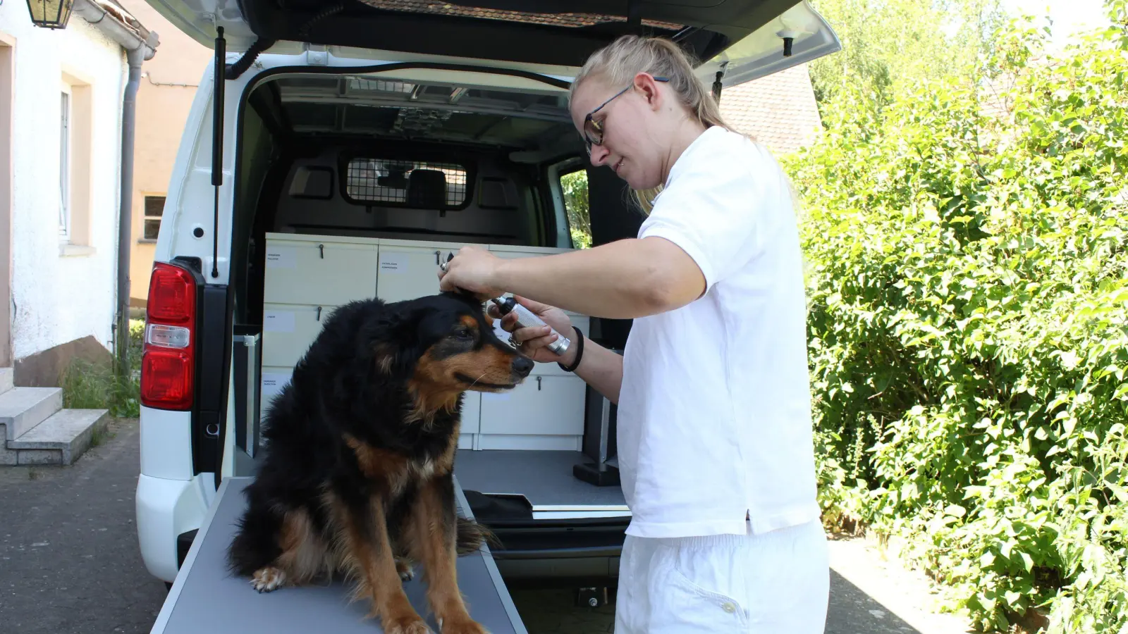 Fee Dworschak ist mit dem Ambulanzwagen in der Region unterwegs, um kranke Tiere zu versorgen.  (Foto: Kurt Wittek/Hundenothilfe Pro Canis e.V.)