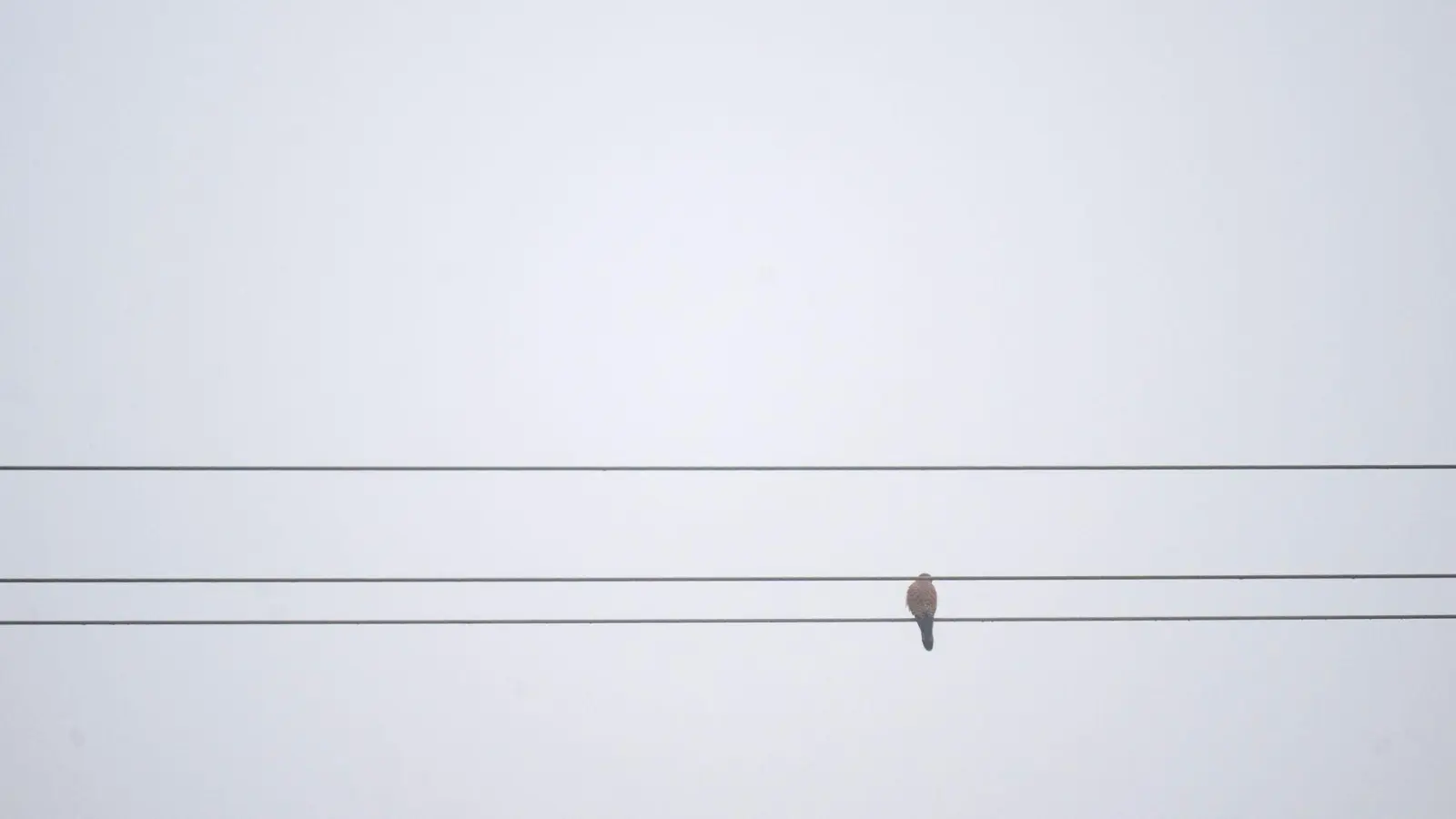 In Bayern gibt es derzeit viele Wolken und nur wenig Sonnenschein. (Symbolbild)  (Foto: Pia Bayer/dpa)
