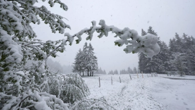 In höheren Lagen könnten laut dem DWD einige Zentimeter Neuschnee fallen.  (Foto: Karl-Josef Hildenbrand/dpa)