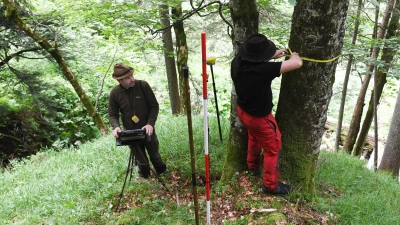 Für den Bericht wird eine Stichprobe des Waldes untersucht. (Foto: Angelika Warmuth/dpa)