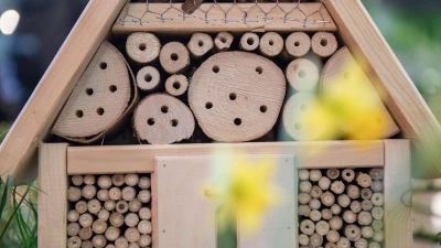 Sind die Löcher eines Insektenhotels im Stirnholz, können die Bohrungen ausfransen. (Foto: Robert Günther/dpa-tmn)