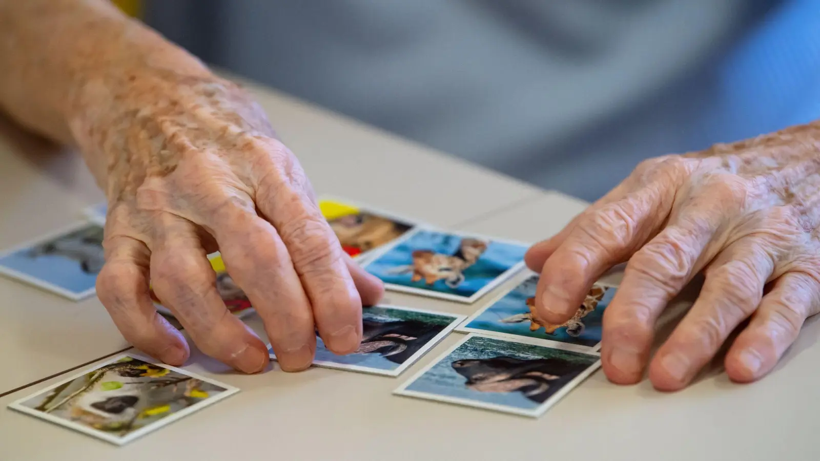 Viele Menschen haben Angst vor einer Demenz-Erkrankung. Regelmäßige Aktivitäten wie Gesellschaftsspiele unterstützen Menschen mit Demenz dabei, ihre Selbstständigkeit zu bewahren. (Foto: Sven Hoppe/dpa)