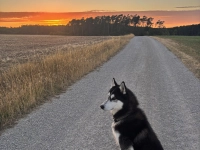 Sonnenuntergang - gesehen in Neidhardswinden (Foto: Christian Vogler)