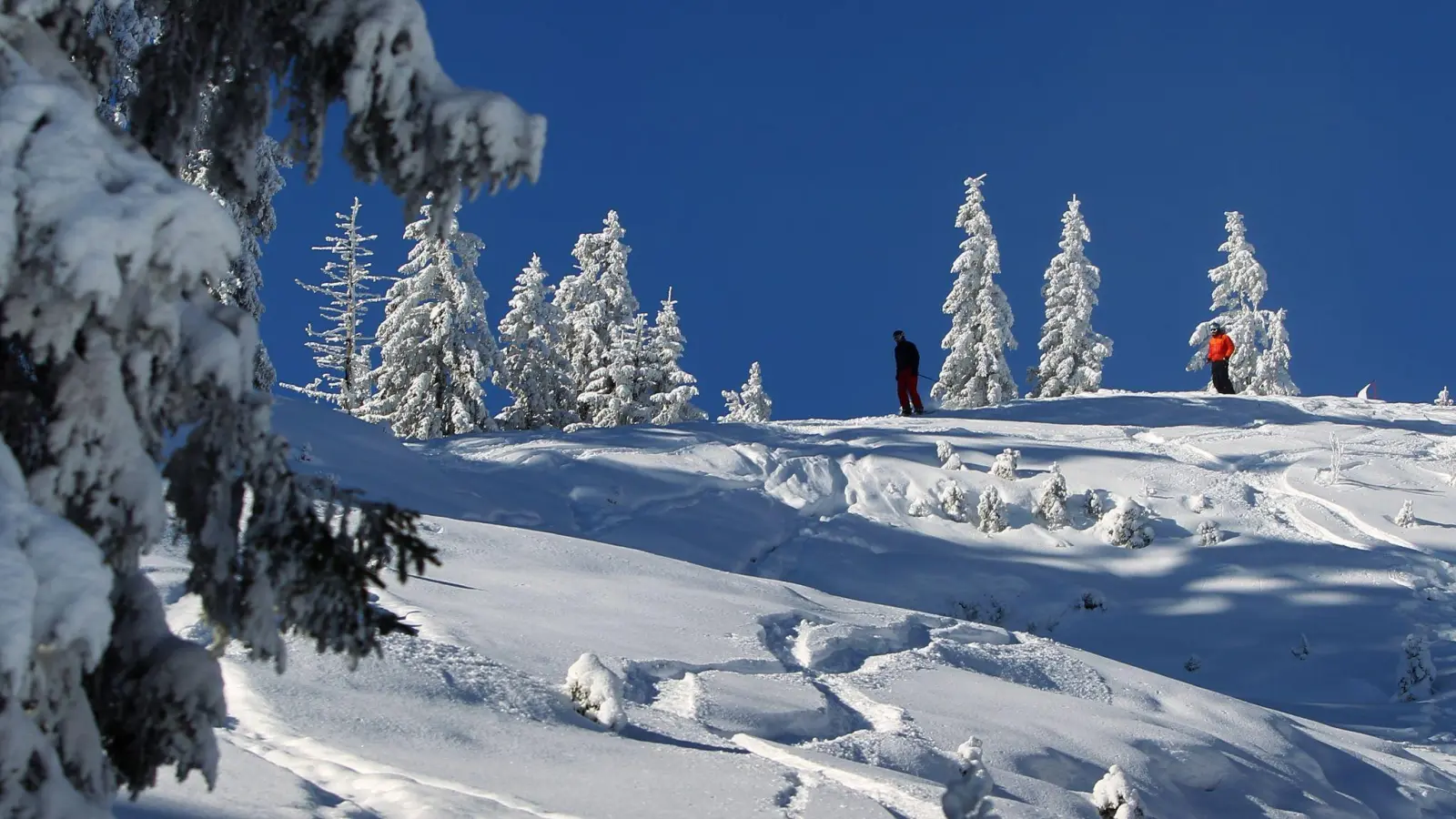 Spuren im Tiefschneehang bedeuten nicht, dass man hier ohne Risiko abfahren kann. (Foto: Karl-Josef Hildenbrand/dpa/dpa-tmn)