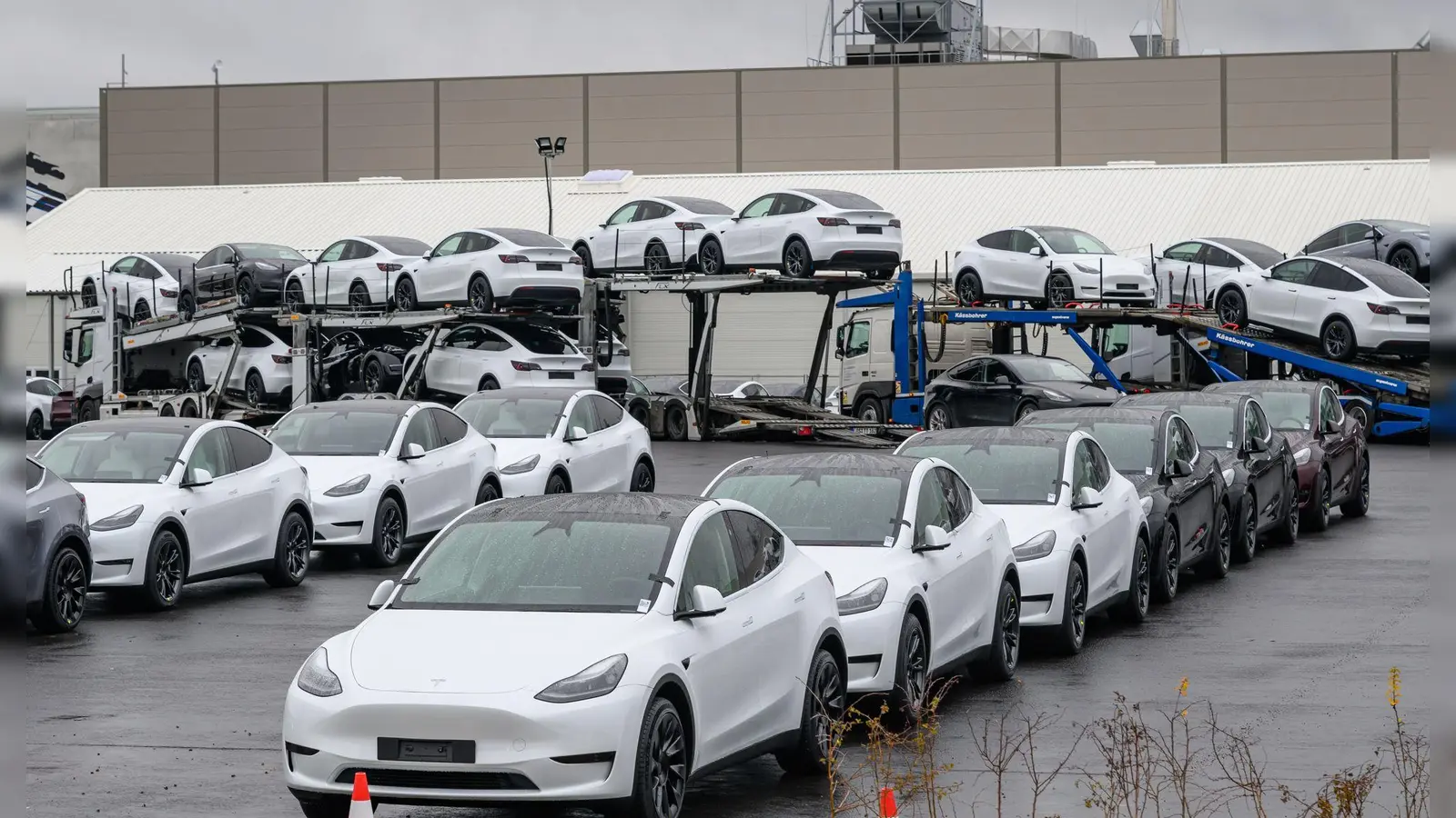 Selbst US-Präsident Trump will seinem Berater Musk und dessen Autofirma nun unter die Arme greifen. (Foto: Patrick Pleul/dpa)