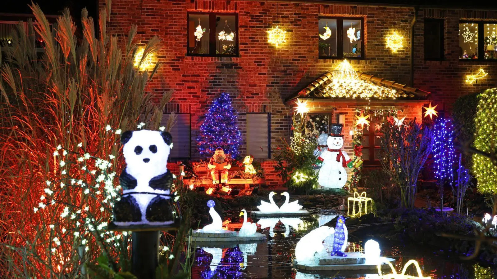 Leuchtende Figuren stehen im Vorgarten umgeben von zahlreichen weiteren Lichtern, die das Weihnachtshaus der Familie Lange erstrahlen lassen. Das Haus wird zur Adventszeit traditionell mit tausenden bunten Lichtern geschmückt. (Foto: Matthias Bein/dpa)
