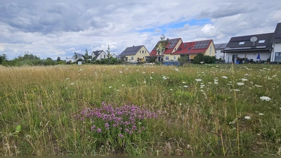 Auf dieser Wiese am südlichsten Rand von Weidenbach wollen Kinder bolzen. Doch den direkten Anliegern gefällt das nicht. Vor einer Entscheidung will der Gemeinderat mit den Siedlungsbewohnern ins Gespräch kommen. (Foto: Wolfgang Grebenhof)