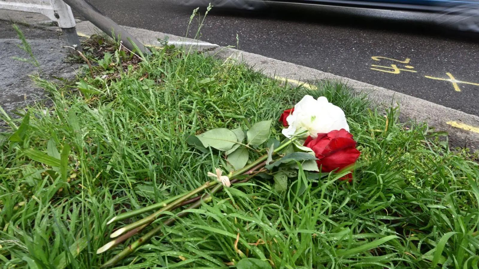 Am Tag nach dem Unfall liegen Rosen am Straßenrand.  (Foto: Bernd Weißbrod/dpa)